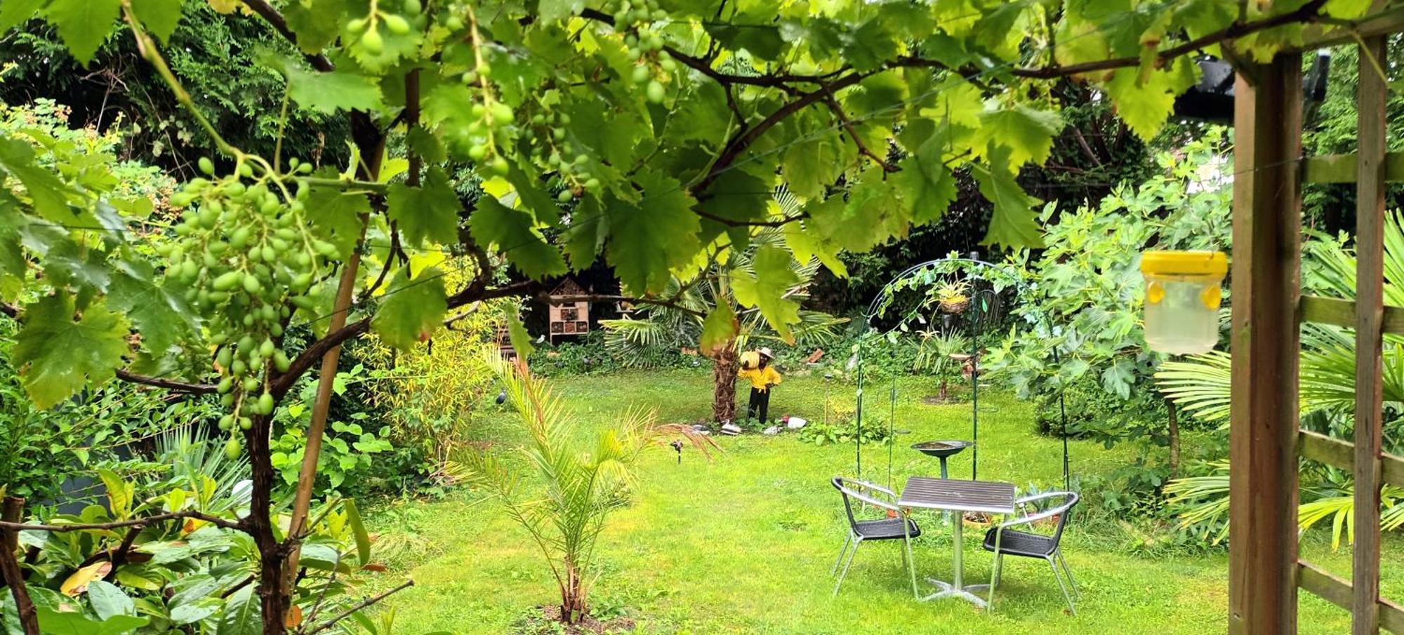Gite Du Jardin Secret سانت فاليري سور سوم المظهر الخارجي الصورة